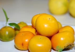 吃硬柿子的好处 硬柿子的功效与作用 吃硬柿子的好处 硬柿子的功效与作用