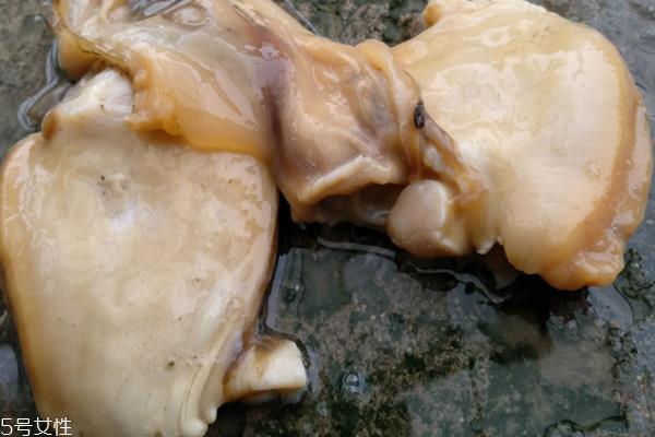 河蚌能烤着吃吗 熟了就能吃