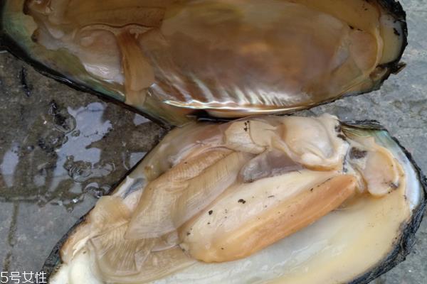 河蚌能烤着吃吗 熟了就能吃