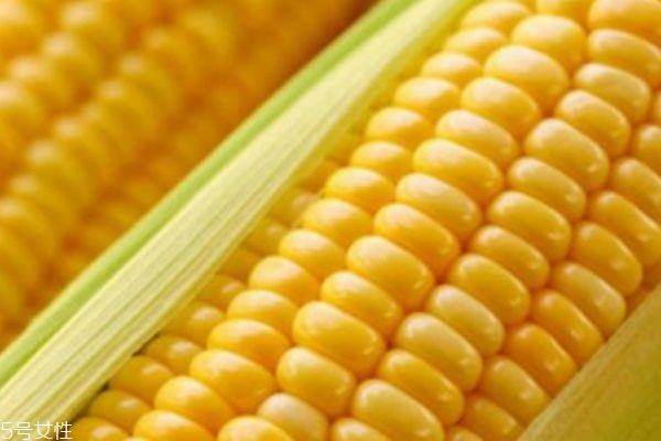 糯玉米和甜玉米的区别 以颜色区分 糯玉米和甜玉米的区别 以颜色区分