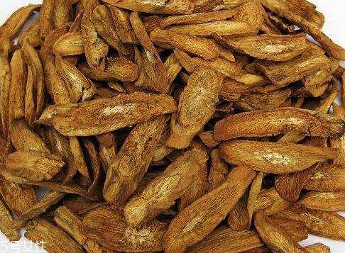 牛蒡茶是什么味道?牛蒡茶味道好吗 牛蒡茶是什么味道?牛蒡茶味道好吗