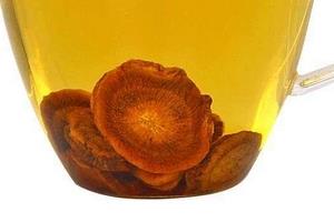 牛蒡茶是什么味道?牛蒡茶味道好吗 牛蒡茶是什么味道?牛蒡茶味道好吗