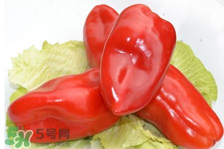 如何挑选红椒?红椒怎么挑选? 如何挑选红椒?红椒怎么挑选?