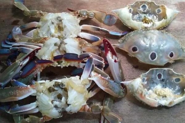 三眼蟹什么季节吃最好 三眼蟹是公的好吃还是母的好吃 三眼蟹什么季节吃最好 三眼蟹是公的好吃还是母的好吃