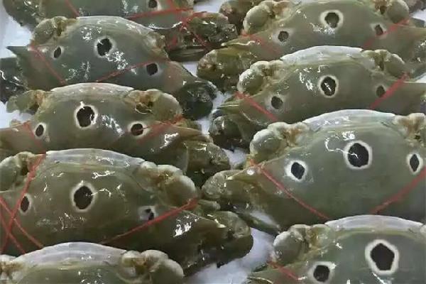 三眼蟹什么季节吃最好 三眼蟹是公的好吃还是母的好吃 三眼蟹什么季节吃最好 三眼蟹是公的好吃还是母的好吃