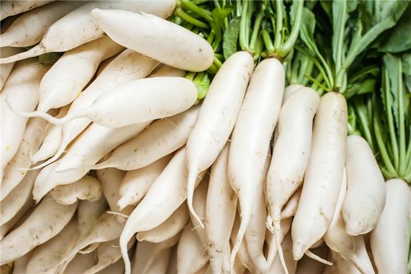 白萝卜会引起宝宝胀气吗 白萝卜怎么给宝宝做辅食