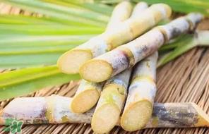 甘蔗要洗吗?吃甘蔗时要用盐水洗吗? 甘蔗要洗吗?吃甘蔗时要用盐水洗吗?