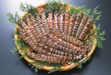 海虾煮多长时间熟?海虾怎么煮? 海虾煮多长时间熟?海虾怎么煮?