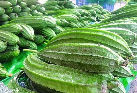 八棱瓜的种植时间季节 八棱瓜怎么种植 八棱瓜的种植时间季节 八棱瓜怎么种植