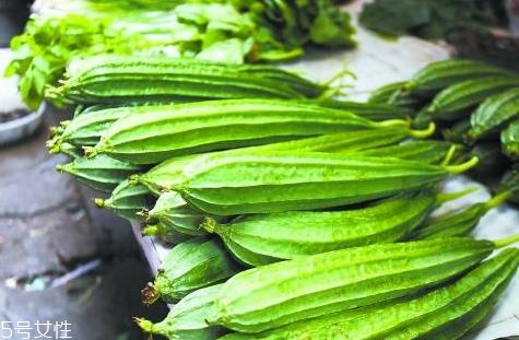 八棱瓜的种植时间季节 八棱瓜怎么种植 八棱瓜的种植时间季节 八棱瓜怎么种植