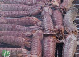 皮皮虾能冷冻保存吗?皮皮虾冷冻还是冷藏? 皮皮虾能冷冻保存吗?皮皮虾冷冻还是冷藏?