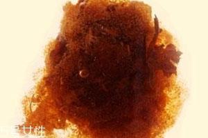 胖大海可以和茶叶一起泡吗 胖大海可以和茶叶一起泡吗