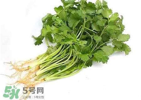 芹菜根怎么吃?芹菜根的功效与作用
