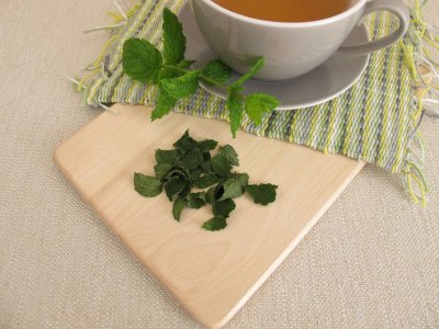 ​薄荷什么时候开花