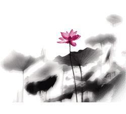 镇远:众志成城抗凝冻 干群协力保民生