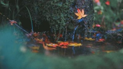 ​他们不在一起，才是真的遗憾！