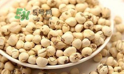 川贝母可以直接吃吗?川贝母可以泡水喝吗 川贝母可以直接吃吗?川贝母可以泡水喝吗