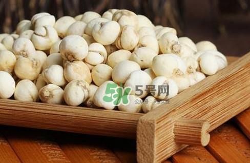 川贝母可以直接吃吗?川贝母可以泡水喝吗 川贝母可以直接吃吗?川贝母可以泡水喝吗