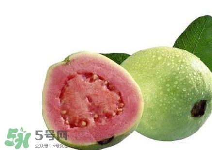 番石榴中间的籽能吃吗?番石榴里面的籽能吃吗 番石榴中间的籽能吃吗?番石榴里面的籽能吃吗