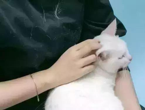 衣服粘毛粘灰?用这个1招搞定,比胶带好用100倍