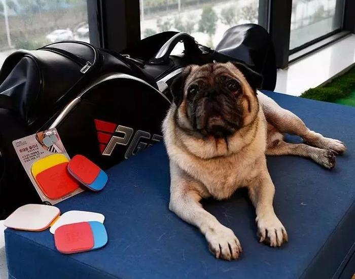 衣服粘毛粘灰?用这个1招搞定,比胶带好用100倍