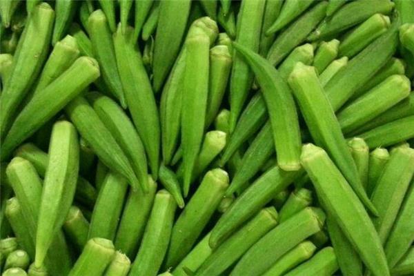 黄秋葵能壮阳吗 有一定效果 黄秋葵能壮阳吗 有一定效果