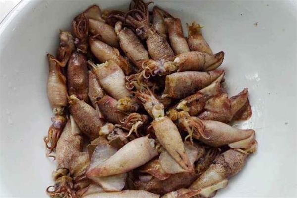 墨鱼什么时候吃最好 墨鱼搭配什么一起吃最好