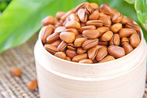 松子如何挑选 松子适合老年人吃吗 松子如何挑选 松子适合老年人吃吗