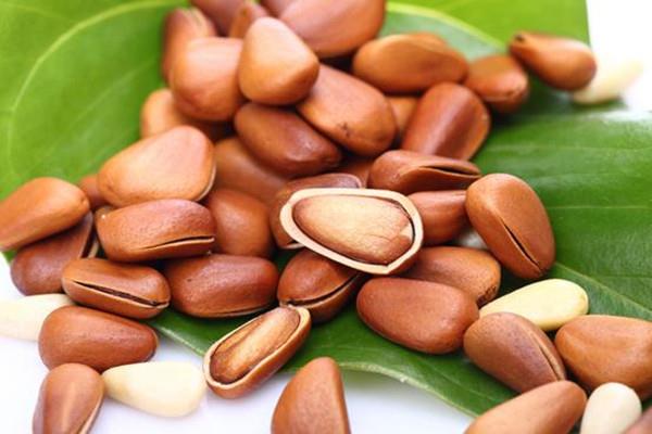 松子如何挑选 松子适合老年人吃吗 松子如何挑选 松子适合老年人吃吗