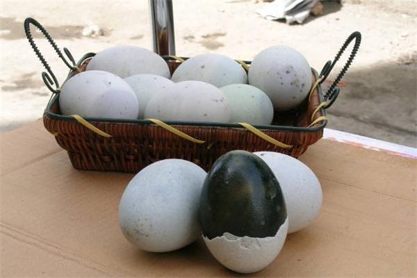 晚上吃皮蛋会发胖吗 皮蛋的热量 晚上吃皮蛋会发胖吗 皮蛋的热量