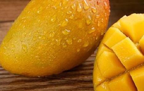 七彩芒多少钱一斤?七彩芒的功效与作用 七彩芒多少钱一斤?七彩芒的功效与作用