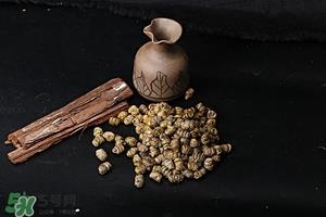 什么人不能吃铁皮石斛,铁皮石斛不适合人群 什么人不能吃铁皮石斛,铁皮石斛不适合人群