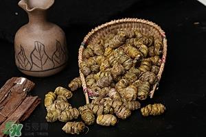 什么人不能吃铁皮石斛,铁皮石斛不适合人群 什么人不能吃铁皮石斛,铁皮石斛不适合人群