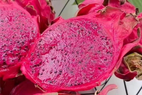 红心火龙果的功效和作用 红心火龙果可以美白吗