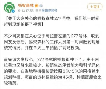 ​支付宝蚂蚁森林惹争议！超6亿人“为种真树”积极参与，阿拉善277号林却现荒地
