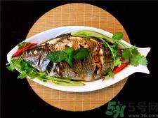 非洲鲫鱼的营养价值 非洲鲫鱼的功效与作用