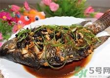 非洲鲫鱼的营养价值 非洲鲫鱼的功效与作用