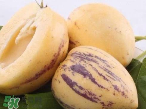 人参果怎么长成人形?人参果为什么长得像人 人参果怎么长成人形?人参果为什么长得像人