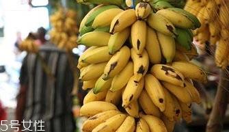 仙人蕉多少钱一斤? 仙人蕉多少钱一斤?