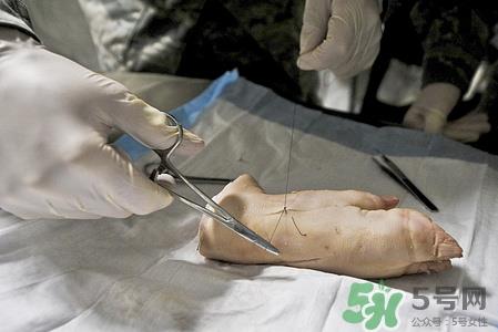 猪蹄能用微波炉加热吗?熟猪蹄怎么加热 猪蹄能用微波炉加热吗?熟猪蹄怎么加热