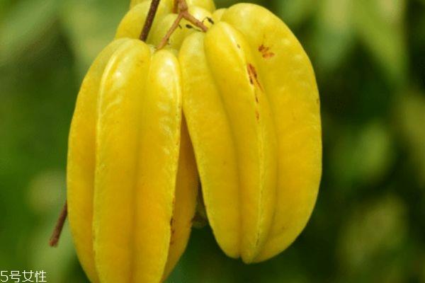 杨桃的皮可不可以吃 杨桃怎么洗才干净 杨桃的皮可不可以吃 杨桃怎么洗才干净