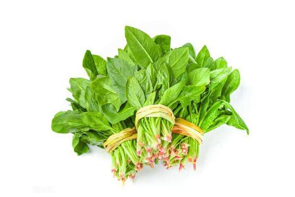 菠菜属于凉性的吗 菠菜是什么季节的 菠菜属于凉性的吗 菠菜是什么季节的