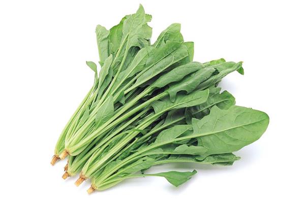 菠菜属于凉性的吗 菠菜是什么季节的 菠菜属于凉性的吗 菠菜是什么季节的
