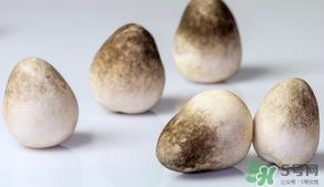 草菇的营养价值 草菇的功效与作用 草菇的营养价值 草菇的功效与作用