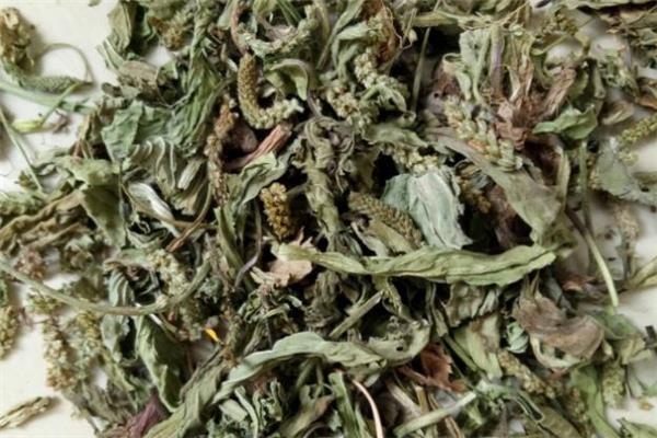 车前草能去湿气吗 车前草怎么喝去湿气 车前草能去湿气吗 车前草怎么喝去湿气