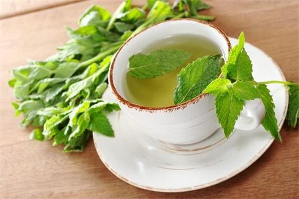 薄荷茶能治疗打呼噜吗 可以缓解一些 薄荷茶能治疗打呼噜吗 可以缓解一些