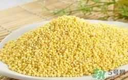 黑米和黄米能一起煮吗?黑米和黄米一起煮有什么好处 黑米和黄米能一起煮吗?黑米和黄米一起煮有什么好处