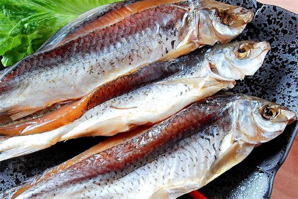 鲮鱼是什么鱼 鲮鱼是海鱼还是淡水鱼 鲮鱼是什么鱼 鲮鱼是海鱼还是淡水鱼