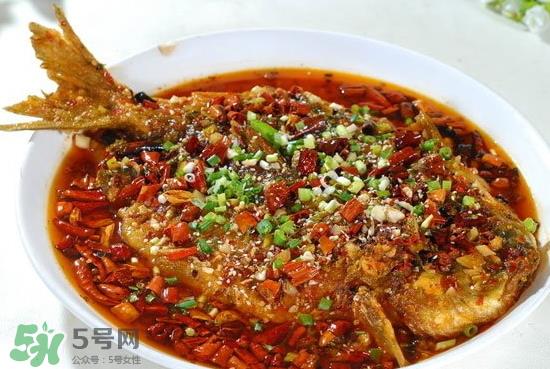 黑鱼能愈合伤口吗？黑鱼为什么对伤口愈合？