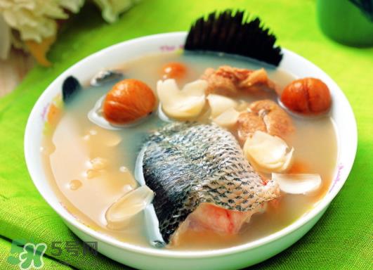 黑鱼能愈合伤口吗？黑鱼为什么对伤口愈合？